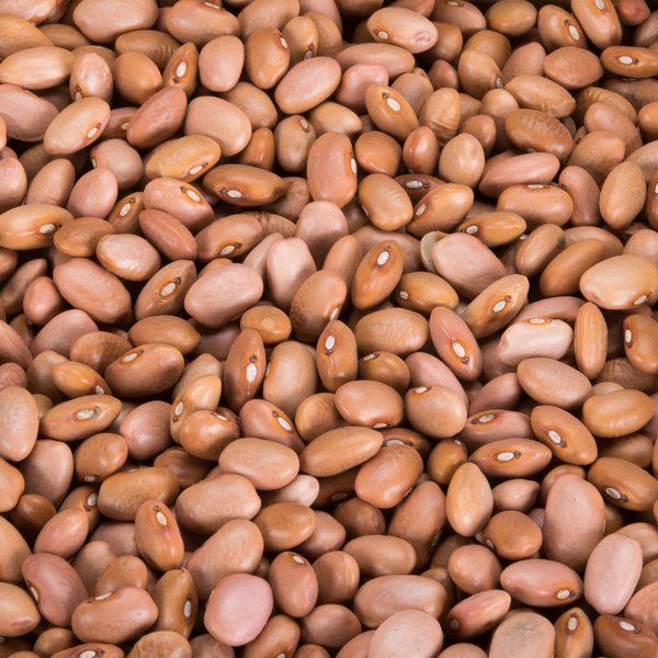 Fresh Beans